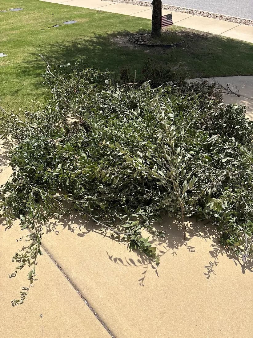 Gallery photos for Yard Debris Pickup and Removal Done Right in Georgetown: Image #1