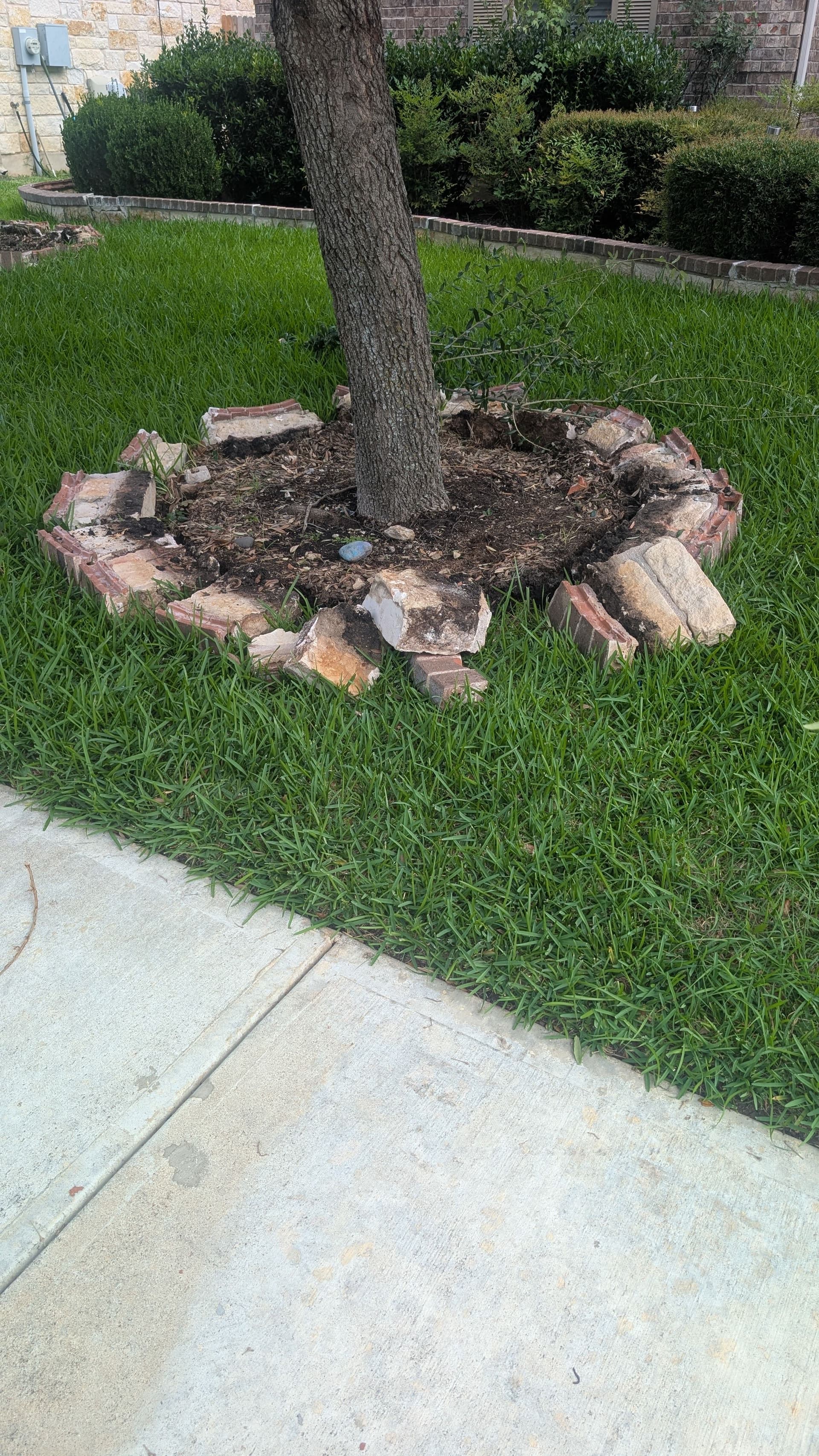 Old Rock and Brick Border Removed in Round Rock image
