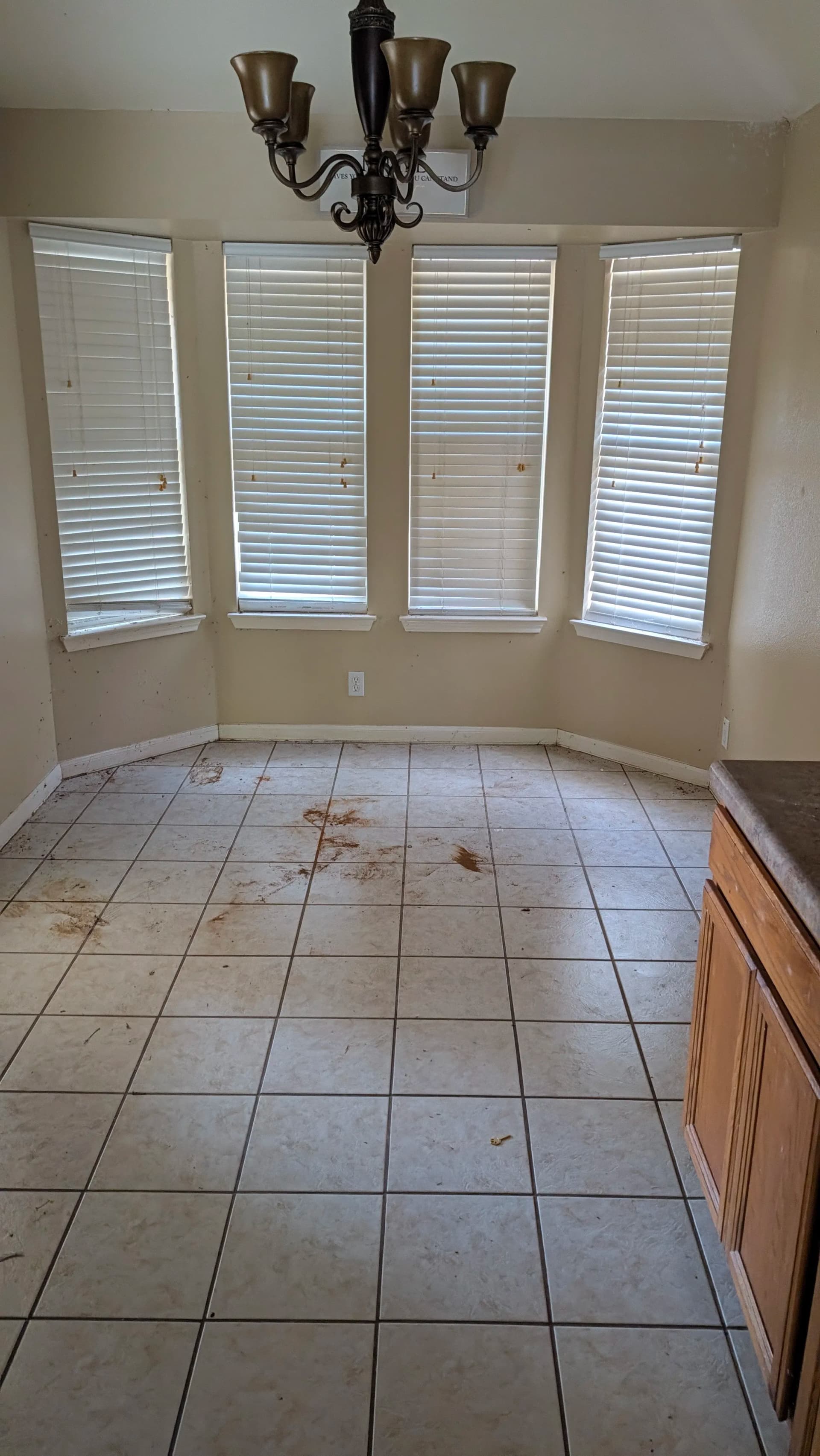 Gallery photos for Full Property Clean Out Completed in Leander: Image #1