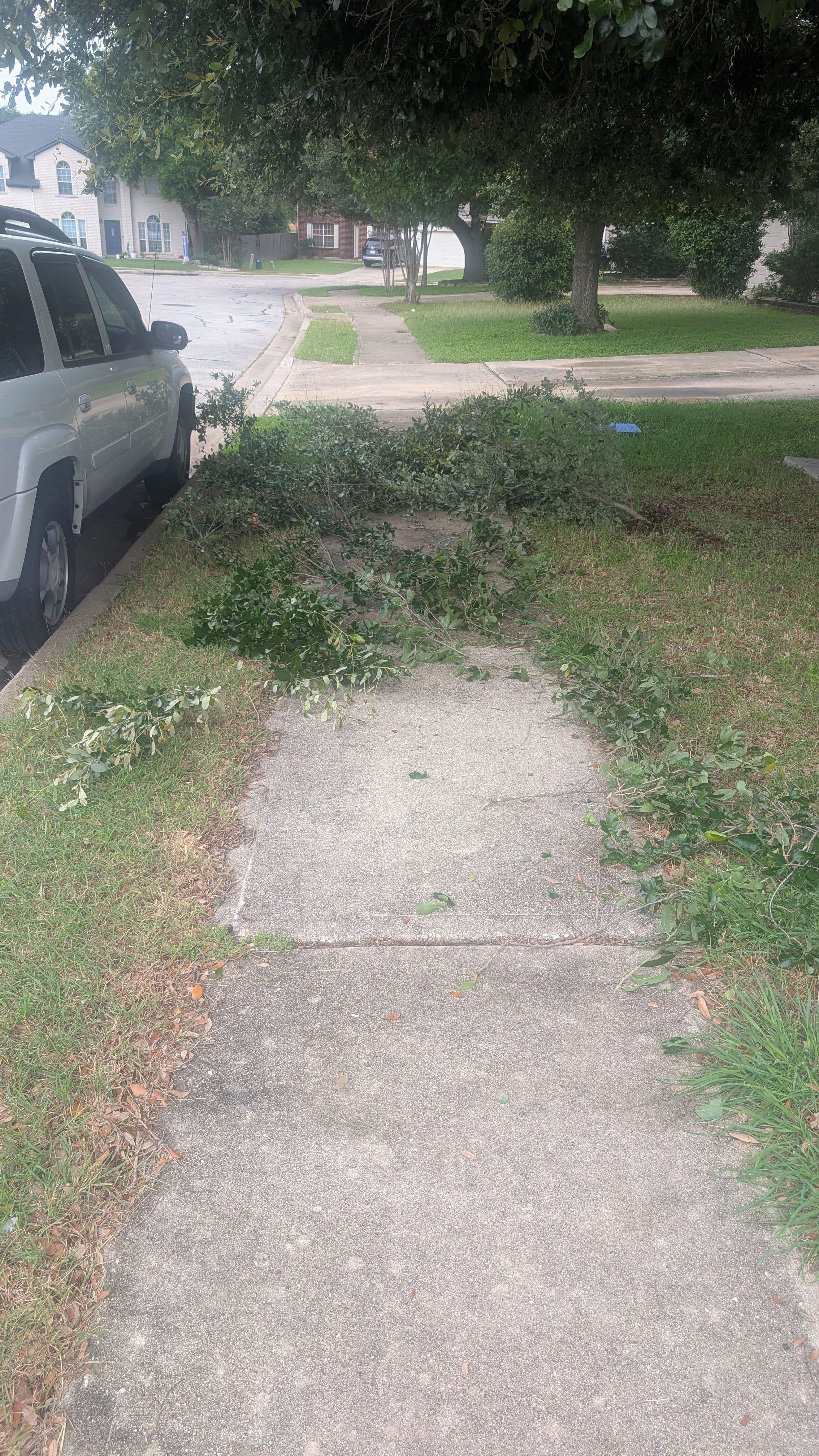 Project Brush Cleared Off a Sidewalk in Pflugerville image