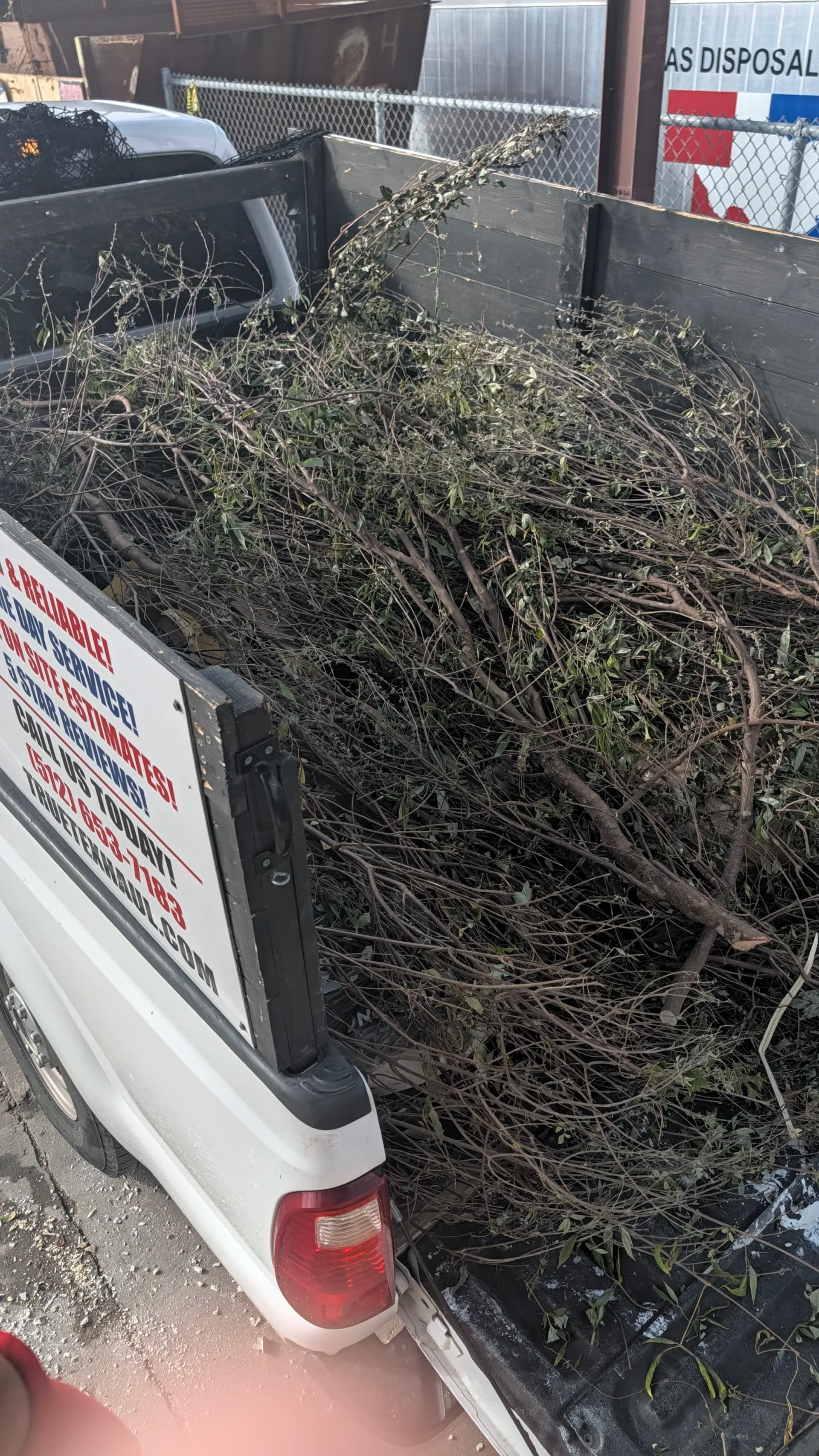 Gallery photos for Tree Debris Removal Done Right in Rancho Sienna: Image #1
