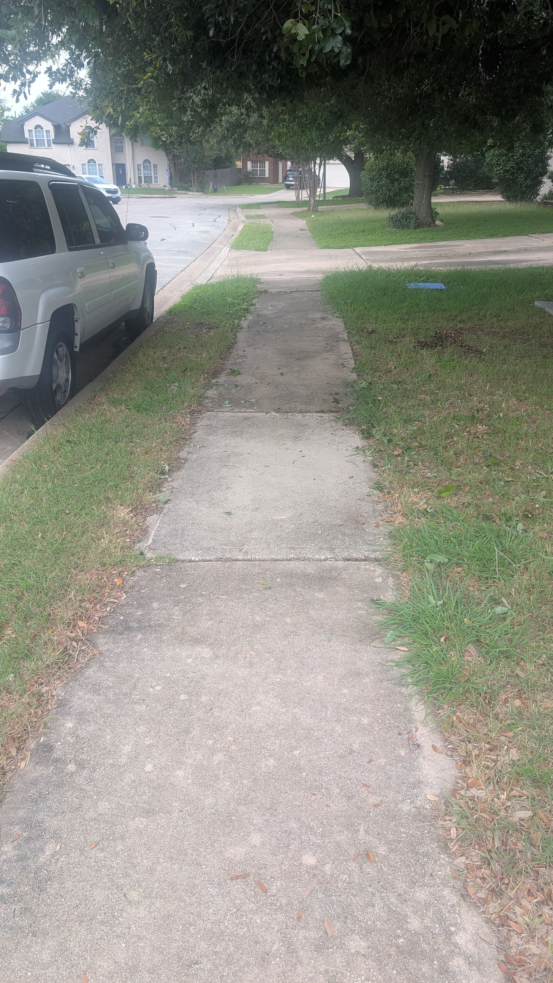 Gallery photos for Brush Cleared Off a Sidewalk in Pflugerville: Image #1