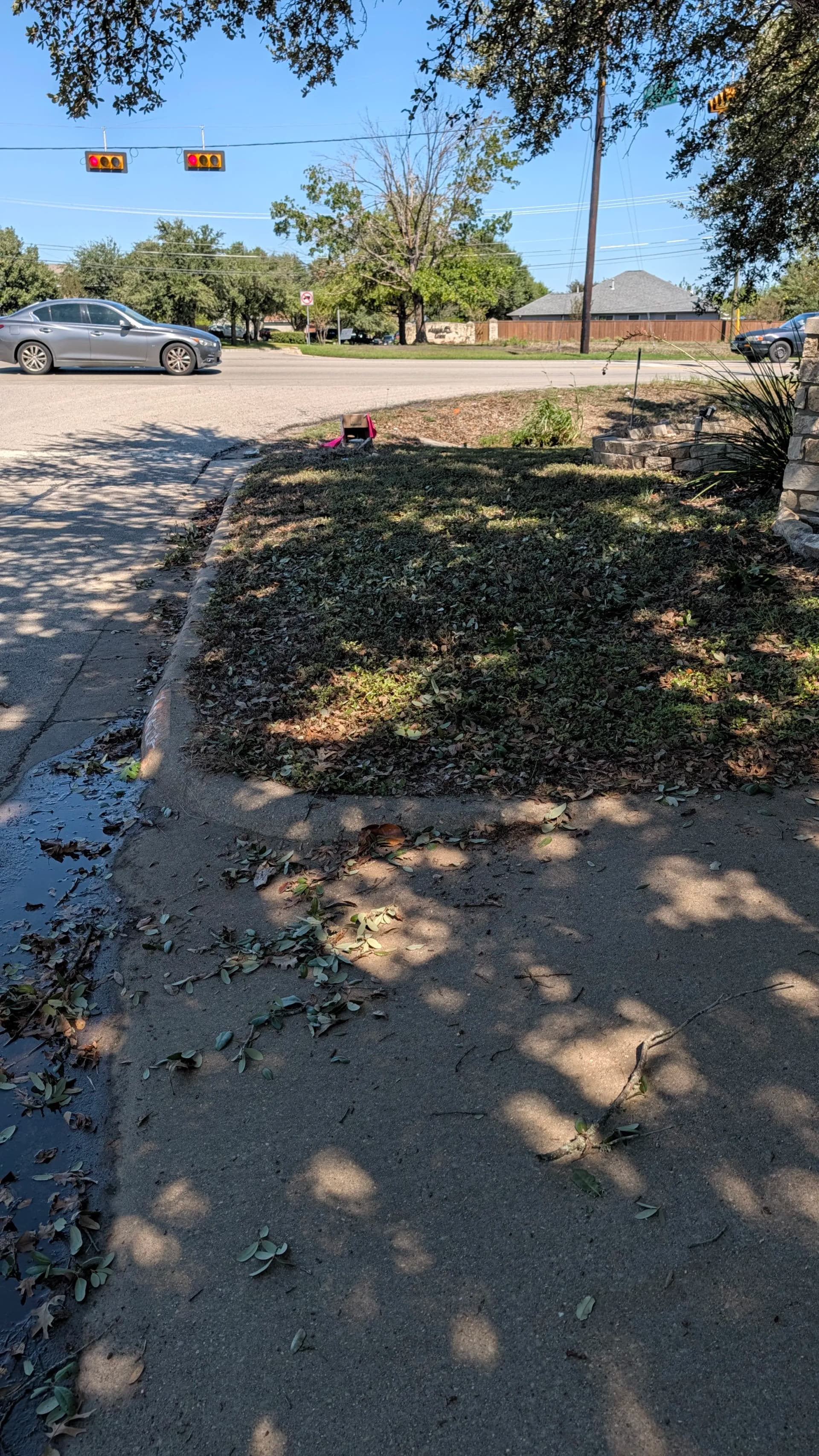 Gallery photos for Brush Pile Cleared Right at the Curb in Pflugerville: Image #1