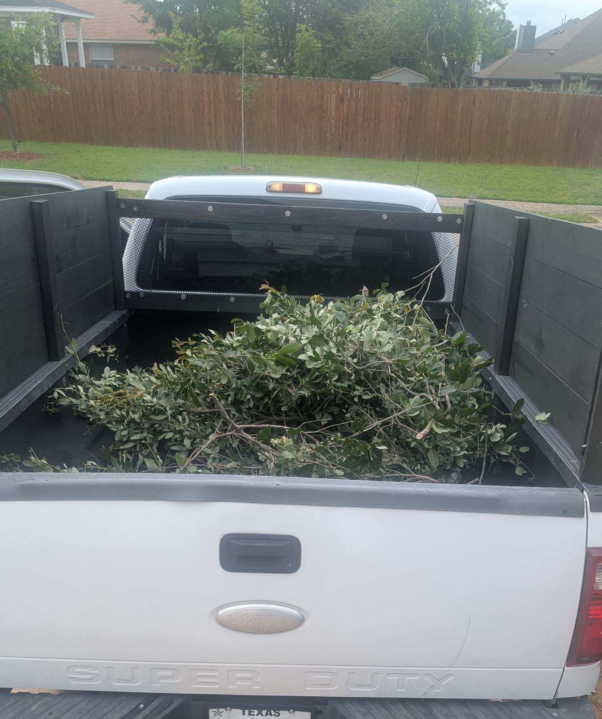 Gallery photos for Brush Cleared Off a Sidewalk in Pflugerville: Image #2