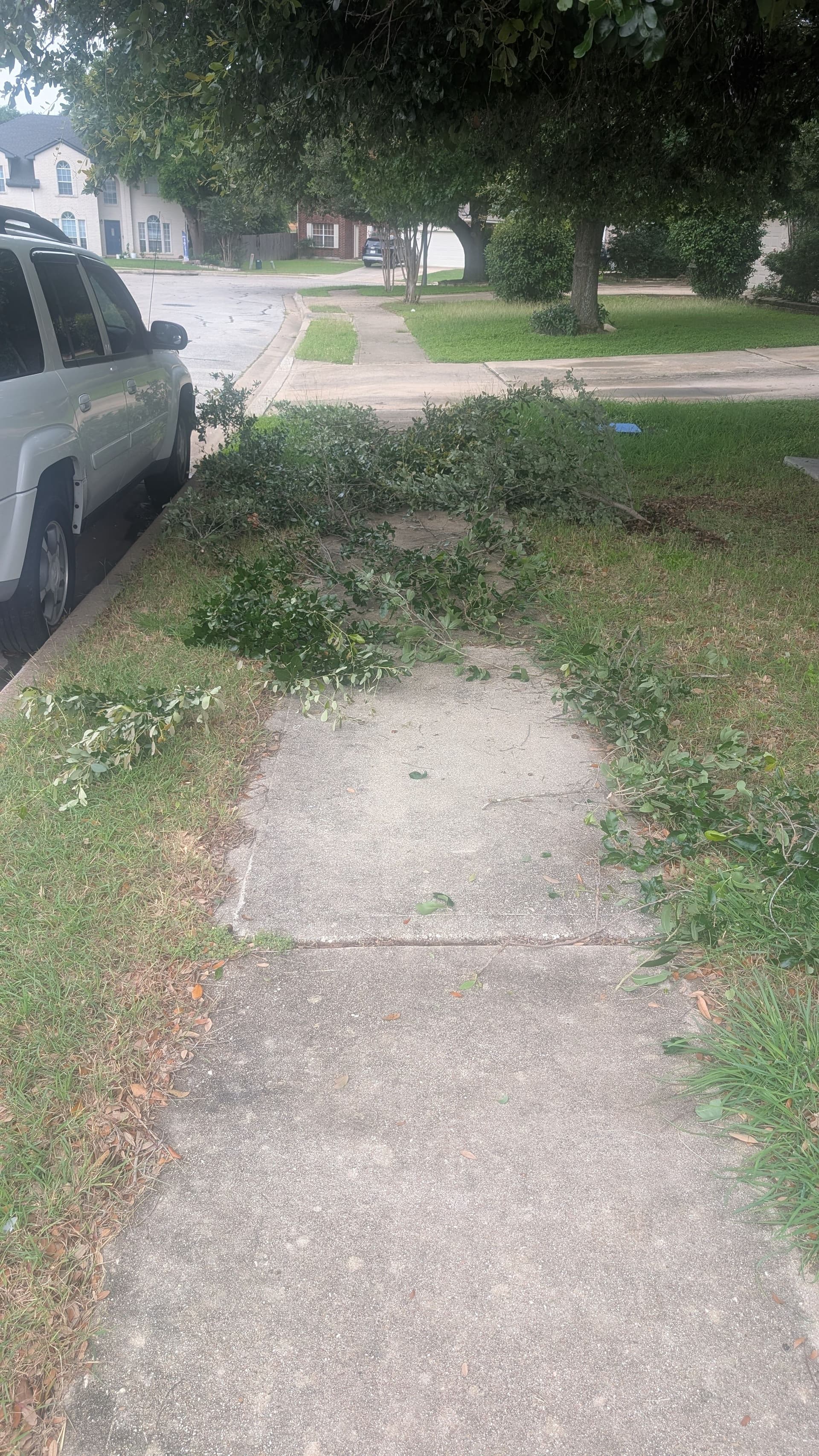 Brush Cleared Off a Sidewalk in Pflugerville image